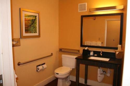 a bathroom with a toilet and a sink and a mirror at Okatie Hilton Head Hotel in Bluffton
