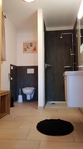 a bathroom with a shower and a toilet and a sink at Studio dans une villa à Veyras in Veyras