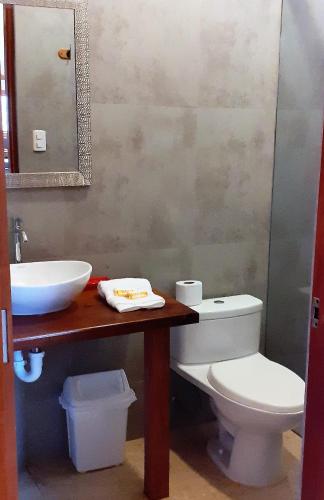 a bathroom with a toilet and a sink and a mirror at ALAS Y ARENA in Vichayito