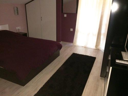 a bedroom with a bed and a rug on the floor at Vasilevi House in Devin