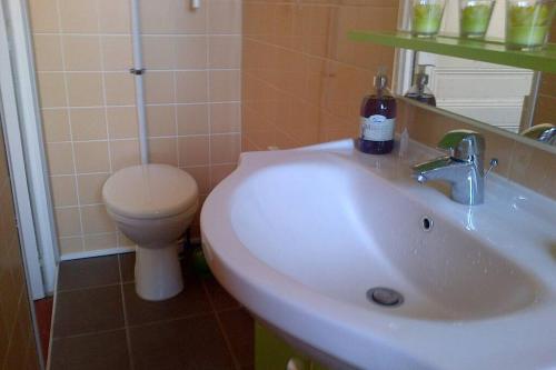 une salle de bain avec un lavabo blanc et des toilettes dans l'établissement CANNES, à Cannes
