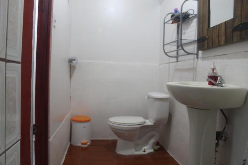 a small bathroom with a toilet and a sink at Mirians Place Drake in Drake