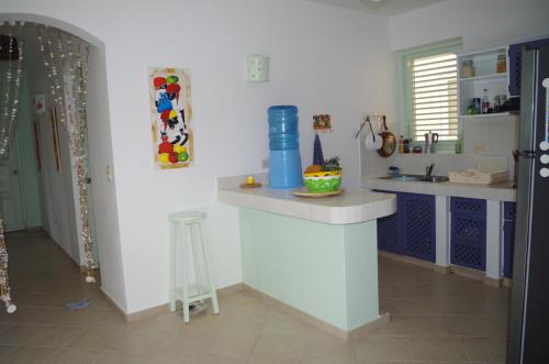 a kitchen with a counter and a sink in it at Little paradise in middle of beautiful beaches! in Las Terrenas
