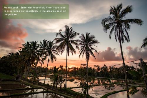 un groupe de palmiers au coucher du soleil en arrière-plan dans l'établissement Ayu Duwur Beji, à Ubud