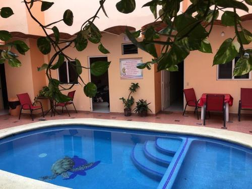 a pool with a turtle in the middle of a building at Bungalows Princeza Guayabitos in Rincon de Guayabitos