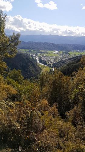 a view of a valley from a hill with trees at Little Red Riding Hood in Reefton