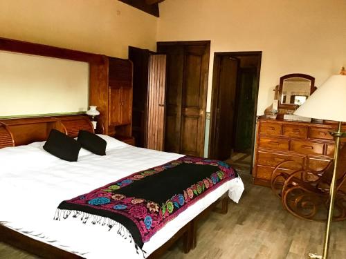 ein Schlafzimmer mit einem Bett, einer Kommode und einer Lampe in der Unterkunft Casa Tía Anita, Hotel Boutique in Mascota