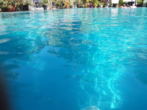 a swimming pool full of blue water at Karl Holiday Bungalow in Kalutara