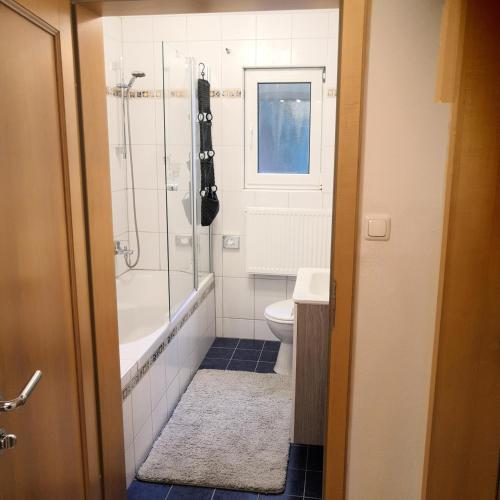 a bathroom with a shower and a toilet and a sink at Ferienhaus am Bach mit großem Garten in Deuerling