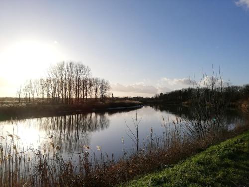 a river with trees and the sun reflecting in the water at B&B De Stuifduinen in Wetteren