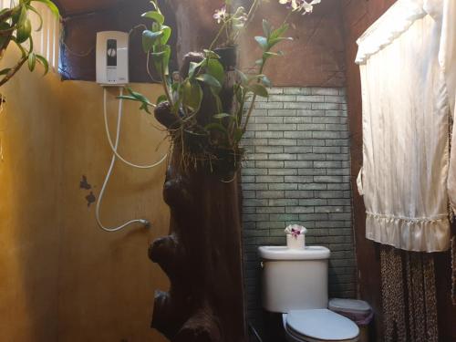 a bathroom with a toilet with plants on it at P P Garden Home Bungalow in Phi Phi Don