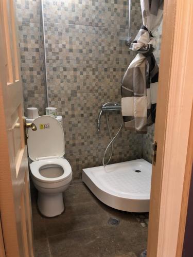 Bilik mandi di Gutsa Artists Mini-Hotel