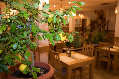 Villa Bunski biser في بلاغاي: شجرة خزف في مطعم مع طاولة وكراسي