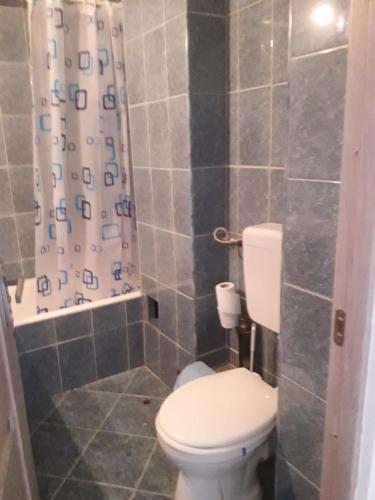 y baño con aseo y cortina de ducha. en Microapartament Campulung Moldovenesc, en Câmpulung Moldovenesc