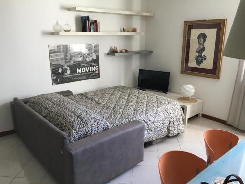 マリーナ・ディ・ピサにあるVilla Cobianchiのベッドルーム(ベッド1台、ソファ、テレビ付)