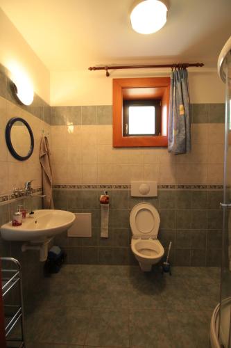 un baño con inodoro y lavabo en Usedlost Gerstein, en Zálesí