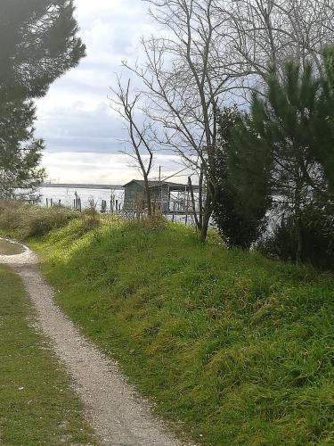 a dirt road next to a grassy hill with trees at Bilocale Marina Romea in Marina Romea