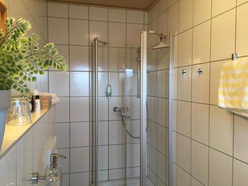 A bathroom at Landhaus-Apartments