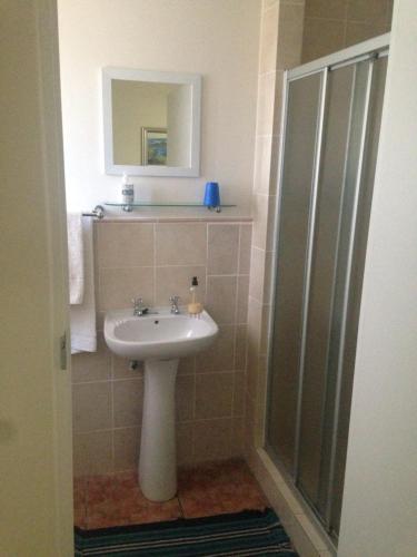 a bathroom with a sink and a shower at Blue Fern of Knysna in Knysna