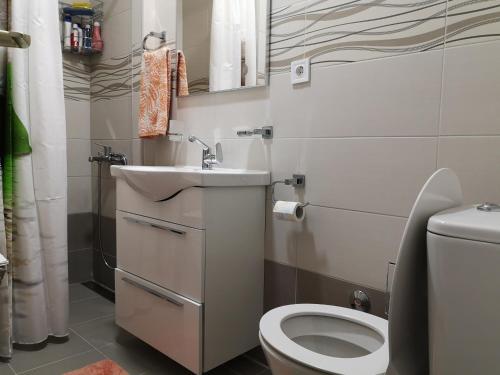 a small bathroom with a toilet and a sink at Apartman Glomazic in Žabljak