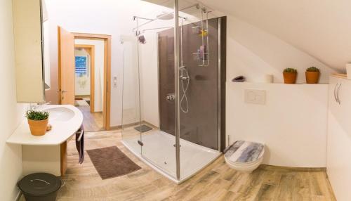 een badkamer met een douche, een toilet en een wastafel bij Appartement Christiane in Bludenz