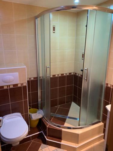 a bathroom with a shower and a toilet at Miroslav Bednár-Bedomir in Huta