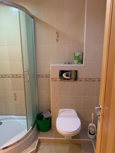 a bathroom with a toilet and a shower and a tub at Miroslav Bednár-Bedomir in Huta