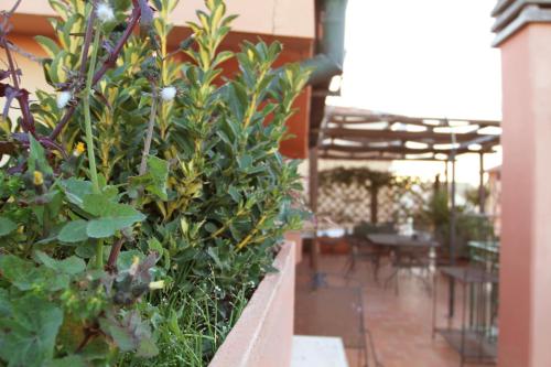 a planter with green plants in a building at Casa Chiara Plus in Porto Recanati