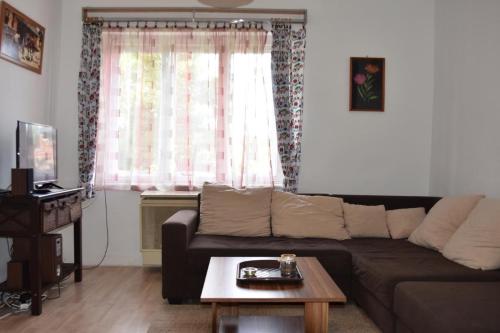uma sala de estar com um sofá e uma mesa de centro em Huszár Tanya em Keszeg