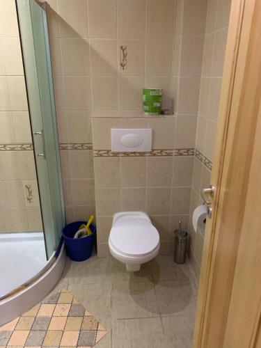 a small bathroom with a toilet and a shower at Miroslav Bednár-Bedomir in Huta