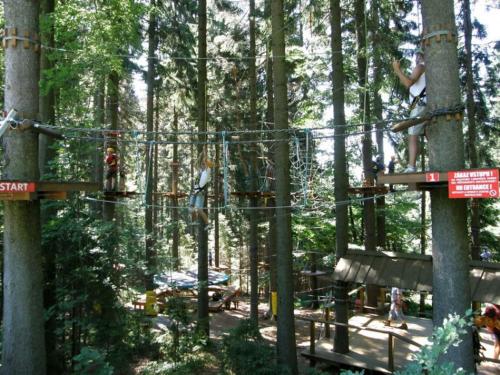 a group of people playing on a tree at Apartmán Říčky v Orlických Horách in Wüstenei
