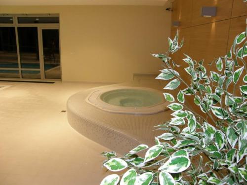 a bathroom with a bath tub with a potted plant at Apartmán Říčky v Orlických Horách in Wüstenei