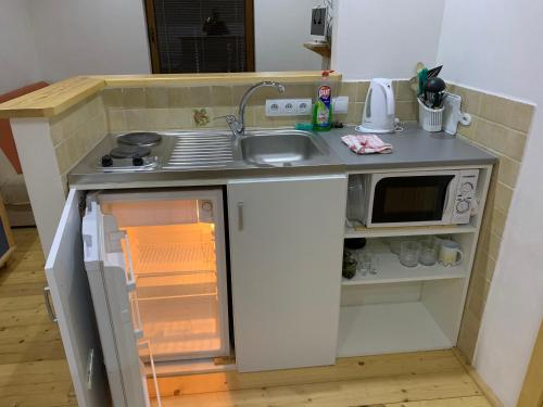 uma pequena cozinha com um lavatório e um micro-ondas em Miroslav Bednár-Bedomir em Huta