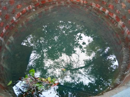 a circular view of a tree in a building at THE ENCHANTING NEST in Borim