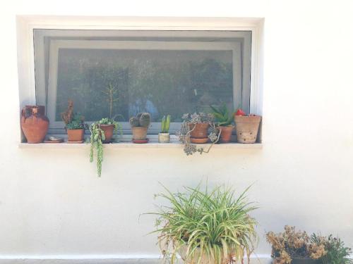 Gallery image of Mater Bed & Food-Riserva Naturale di Torre Guaceto in Serranova