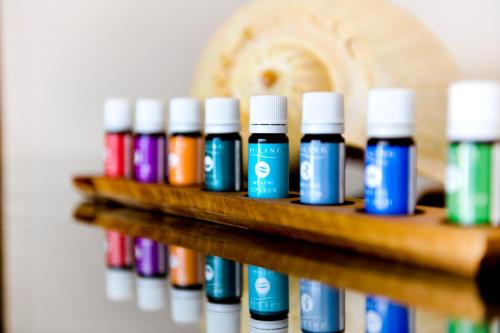 a row of bottles of paint on a shelf at Coco de Mer Hotel and Black Parrot Suites in Grand'Anse Praslin