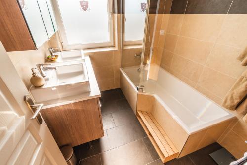 a bathroom with a tub and a sink and a shower at Domaine du Pressoir in Ambilly
