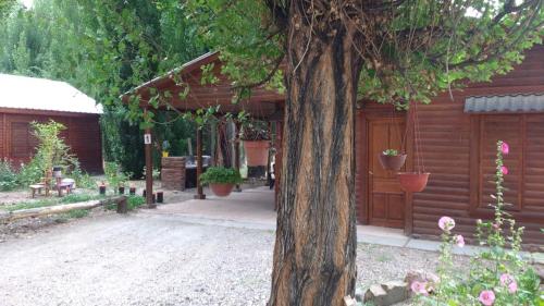 Cabañas Tierra Huarpe – Photos 3