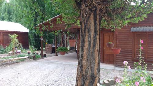 una cabaña de madera con un árbol delante en Cabañas Tierra Huarpe en Uspallata