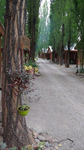 Cabañas Tierra Huarpe – Photos 2