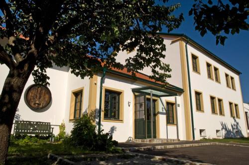 a white building with a tree in front of it at Winzerhaus Kitzler in Rohrendorf bei Krems