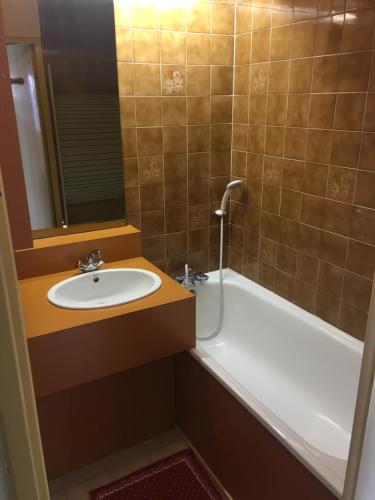 een badkamer met een wastafel en een ligbad bij Orcieres joli studio in Orcières