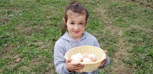 Gallery image of Life on the farm in Nepravishtë