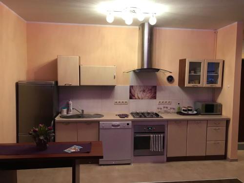 Kuchyňa alebo kuchynka v ubytovaní Morawka