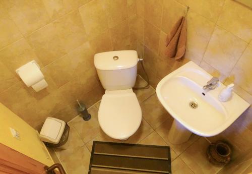 a bathroom with a toilet and a sink at Lejasbisenieki in Turaida