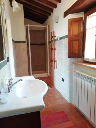 a bathroom with a sink and a shower at Agriturismo Ombianco in Seggiano