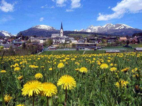 a field of yellow flowers with mountains in the background at Appartementhaus Fritz-Rosenkranz in Mariapfarr