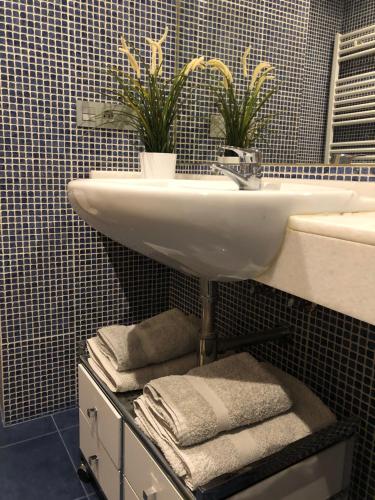 a bathroom with a sink and two potted plants at Contemporaneo y Centrico in Vigo