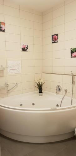 eine Badewanne mit Pflanze in der Mitte eines Badezimmers in der Unterkunft Ferienresidenz Grafenmatt, Feldberg in Feldberg