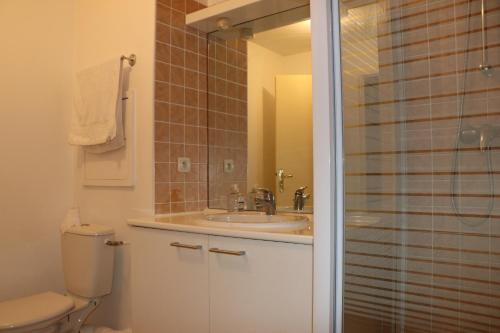 a bathroom with a sink and a toilet and a shower at Deluxe Ski and Summer Apartment, Parking and WiFi in Bourg-Saint-Maurice